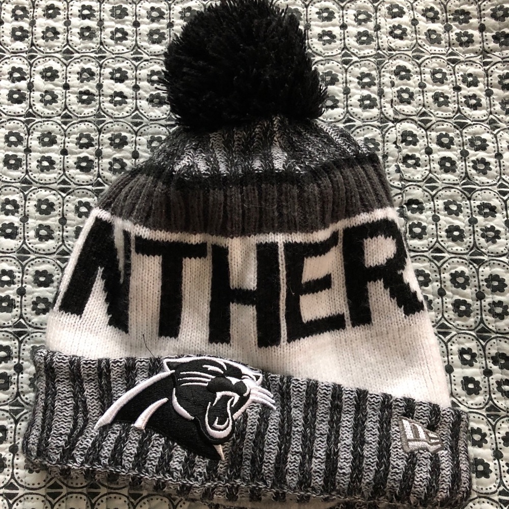 Carolina Panthers winter hat